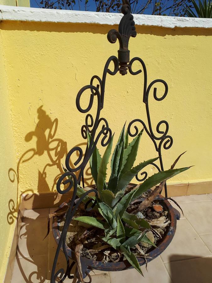 Chrysanthi Melitsa Apts. Sidárion Exterior foto