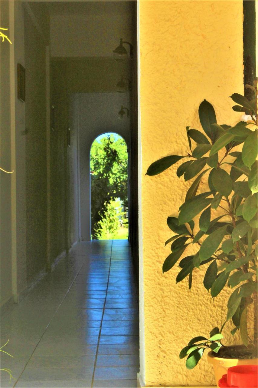 Chrysanthi Melitsa Apts. Sidárion Exterior foto
